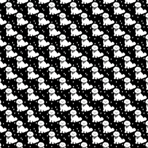 Bichon_Frise_Diagonal_ Black White_Small