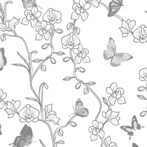 Butterfly and  Orchid Garden Toile De Jouy - Monochrome Crisp White and Soft Gray - Large