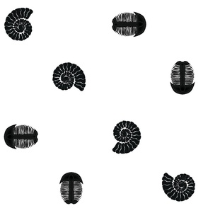 Black On White Ammonite And Trilobite Fossil Polka Dots