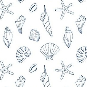 Navy blue hand drawn sea shells
