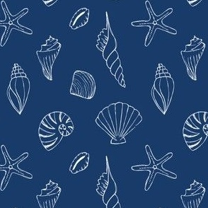 Hand drawn sea shells on a rich navy background. 
