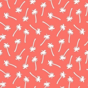 Small White palm trees on coral