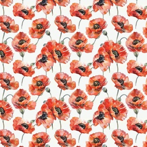 Vibrant Orange and Red Watercolor Poppies with Green Buds on White Background