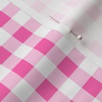 hot pink gingham - small