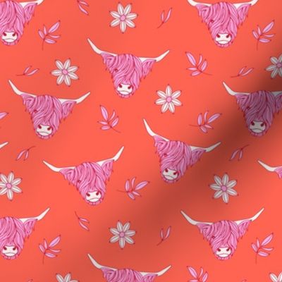 Summer Scottish highland cows - sweet freehand drawn animal illustration with flowers and leaves Scotland girls design pink on tangerine orange