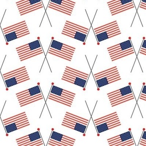 American Flag - USA