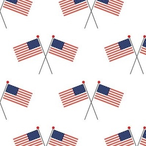 American flags - USA