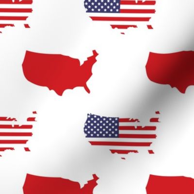 American flags and map