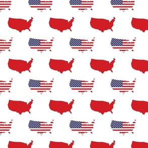 American flags and map