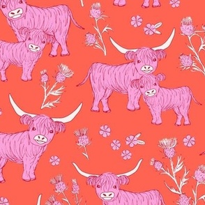 Sweet cutesy highland cows in a lush spring garden -  longhorn and thistles ranch  wild animal design  pink on tangerine orange  