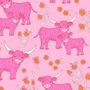 Sweet cutesy highland cows in a lush spring garden -  longhorn and thistles ranch  wild animal design  pink orange on blush pink  
