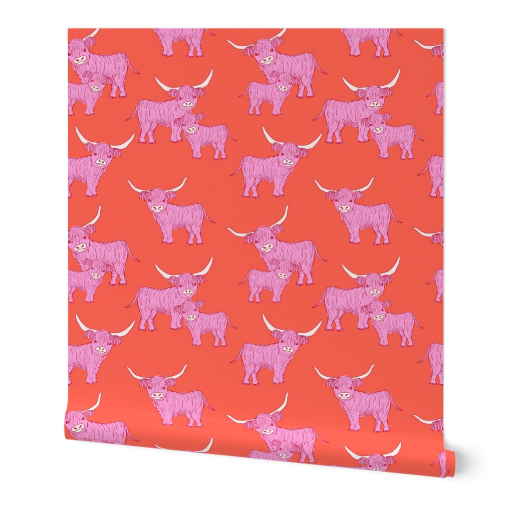 Summer highland cows -  longhorn mother and calf pink on tangerine orange 