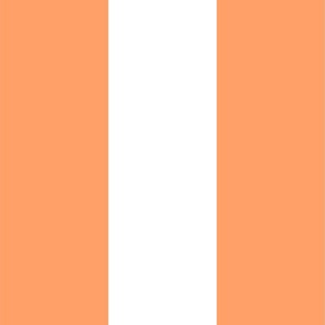   6 “ Stripes in Orange and White SF_ffa069 