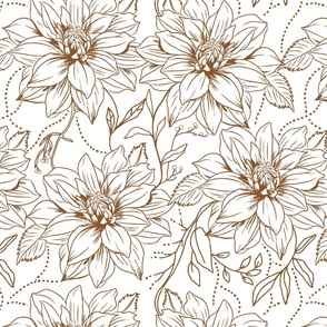 Protea on white illustration 