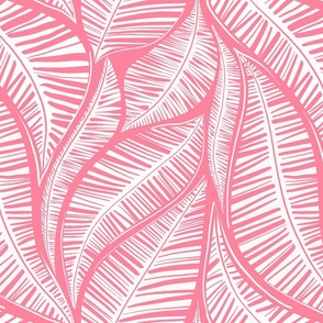 Serene Palm Leaves,  medium Pink and White