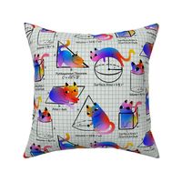 Rainbow Cat Math - Funny Kitty Geometric Equations