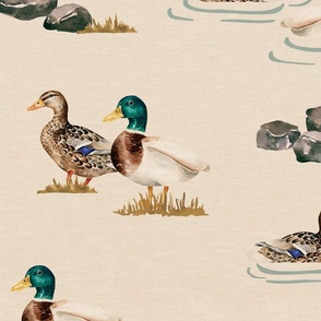 Wildlife Duck Pond on Cream24 inch