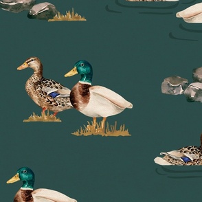 Wildlife Duck Pond on Teal 24 inch