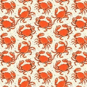 Sandy Crabs Mini