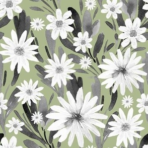 White Daisies, Black Greenery on Sage, Watercolor Hand Drawn, L
