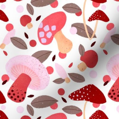 Forest Mushrooms - red and pink on white background