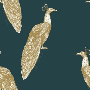 (L) Vintage peacock hand-drawn toile de jouy style teal green