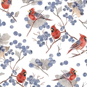 Redbirds and Blueberries