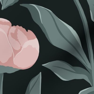 Elegant Pink peonies With green leaves with a dark green background (Large 21x21)