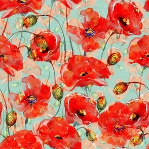 Red poppies in Bloom