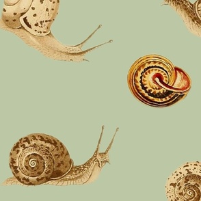 Vintage Snails