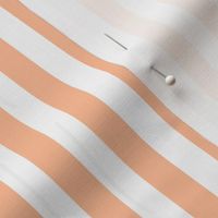  Peach Fuzz 1/2-Inch Stripe Pattern - Modern and Charming Design