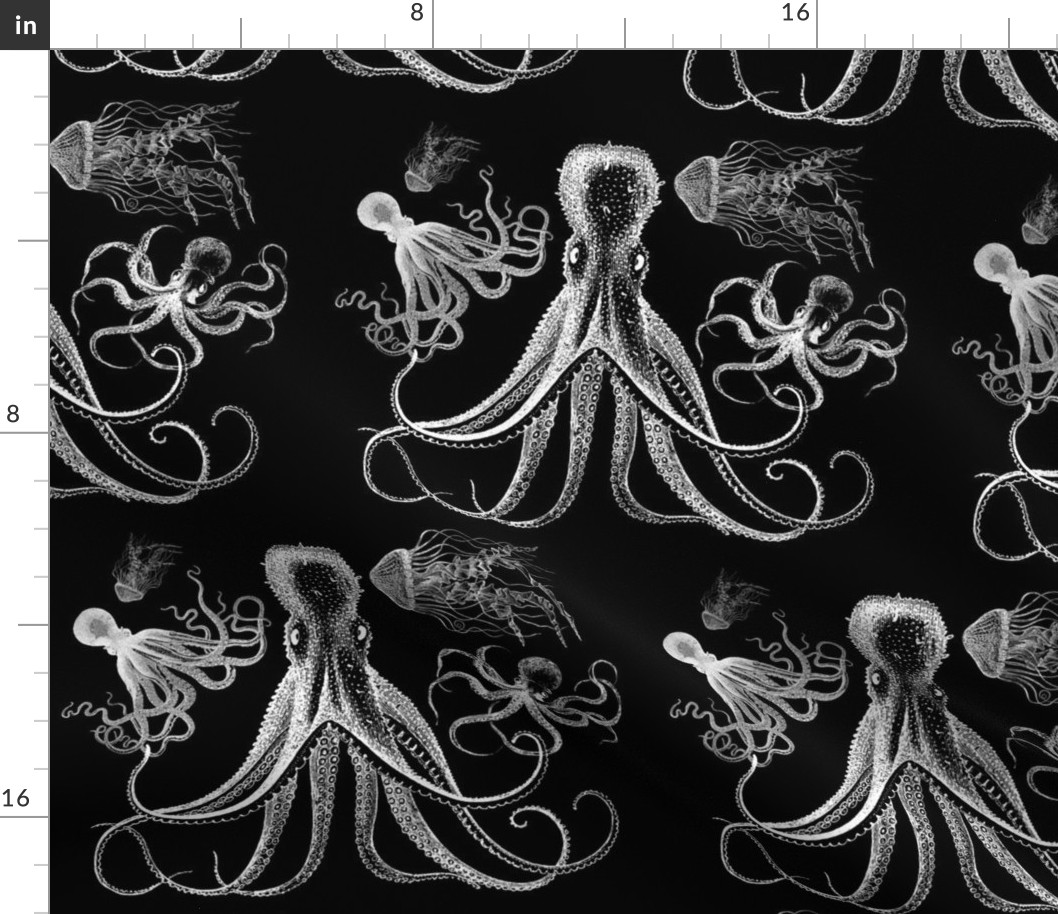 octopus & jellies
