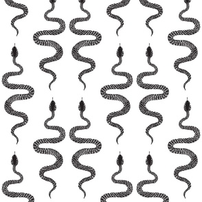 Hand-drawn Snakes in Black & White