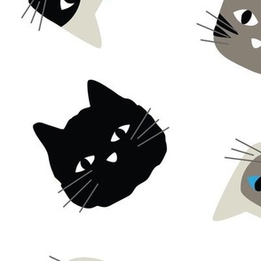 Kitty Cat Faces - 3 inch