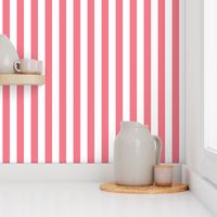  Begonia Pink 1 Inch Stripe Pattern - Fresh and Modern Design