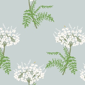 546-Yarrow-Medium