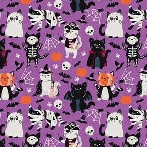 Small Halloween Costumed Cats Purple