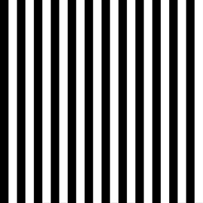 Medium Black and White Stripes