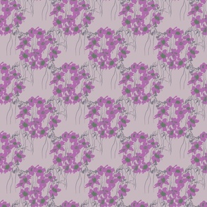 470-Climbing Oleander-Medium-Purplesgreen