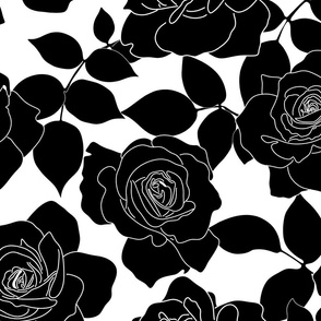 Roses Black And White