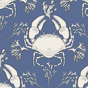 Crab pool - blue nova - Benjamin Williams colour