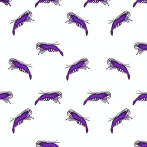 Fantasy Purple Shrimp on White