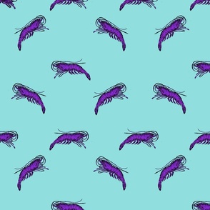 Fantasy Purple Shrimp on Aqua