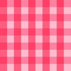 Cowgirl Disco Check in Bubblegum Pink and Hot Pink | 6in