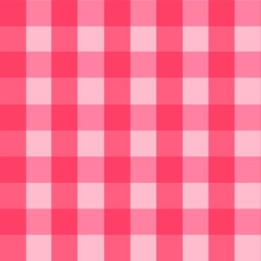 Cowgirl Disco Check in Bubblegum Pink and Hot Pink | 12in