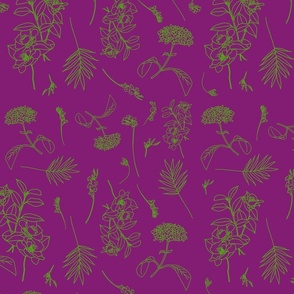 Florist'S Dream (purple)