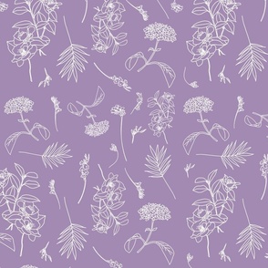 Florist'S Dream (lilac)