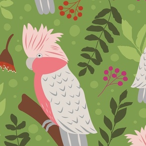 Large / Pink Galah on Branch Amongst Leaves and Berries on Light Green