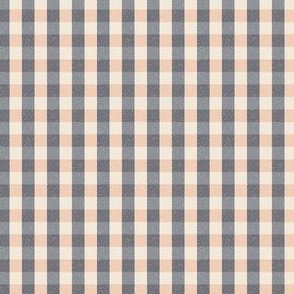 (Small) Gingham Textured - Muted Blue and Soft Peach Blush Pink