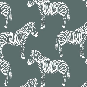 Zebras  grey and white